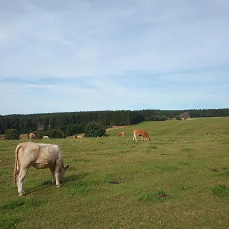 Am Rennsteig 아파트 *