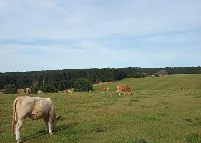 Am Rennsteig Apartman *